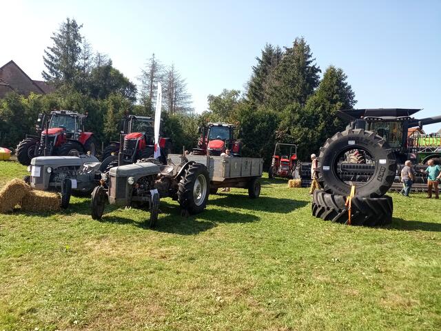 Traktoren - alt und neu | Foto: Anja Stemler