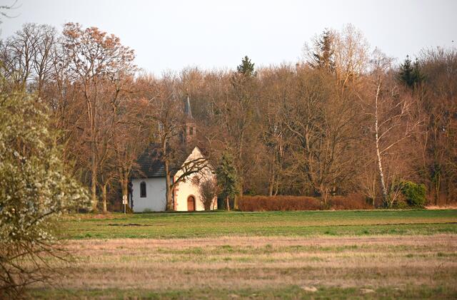Schweinheimer Kirchel  -  Februar 2024 | Foto: Andrea Abt