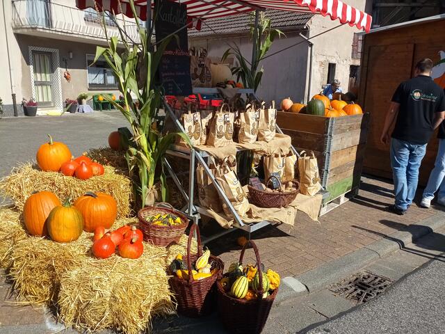 Der Herbst ist da | Foto: Anja Stemler