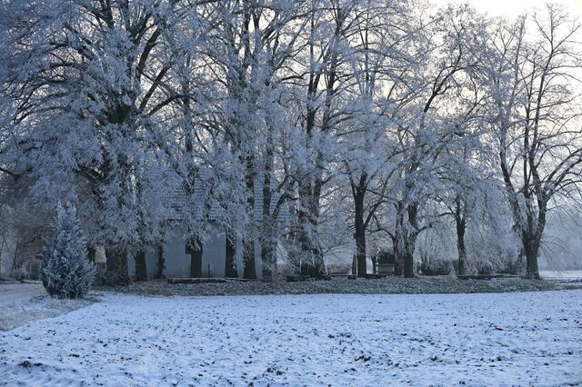 Am Schweinheimer Kirchel im Dezember 2022 | Foto: Andrea Abt