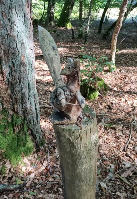 Eichhörnchen | Foto: Ich