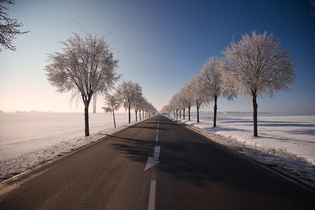 21 Winterallee der L401 bei Morschheim | Foto: Jonas Kullmann