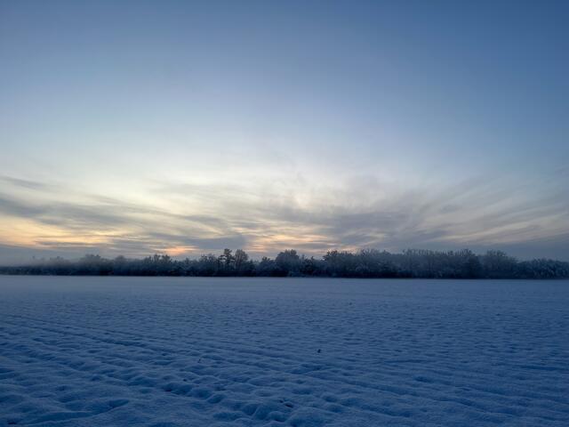 53 Schneebedecktes Feld Rehhofstraße Schifferstadt im Winter  | Foto: Alexandra Rupp