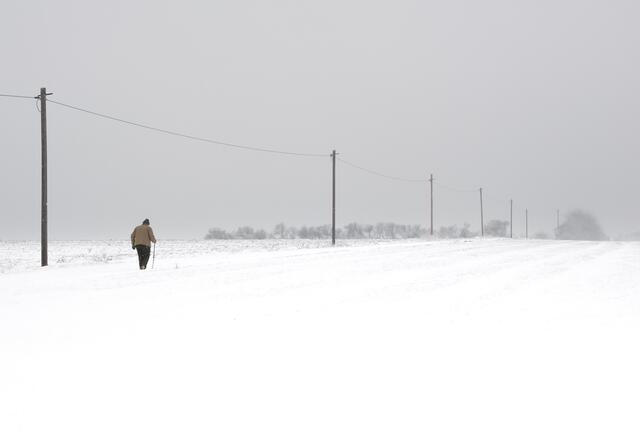 19 Winter auf dem Gemeindeberg in Grünstadt | Foto: Harald Koch HK PhotoArt