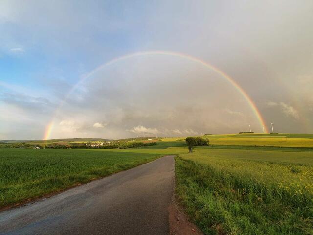 Regenbogen über Feilbingert -vom Lemberg aus fotografiert- | Foto: Arno Mohr 