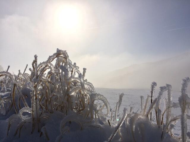 5 Winterspaziergang am Königsberg / Oberweiler im Tal | Foto: Melanie Braun