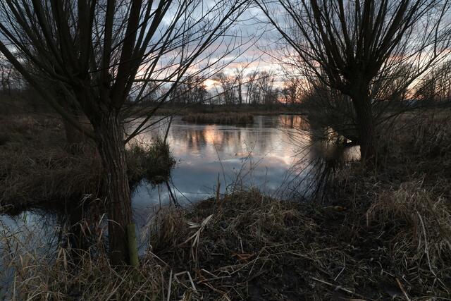 16 Teich bei Hassloch an einem kalten Januar Nachmittag. | Foto: Jörg Möhwald