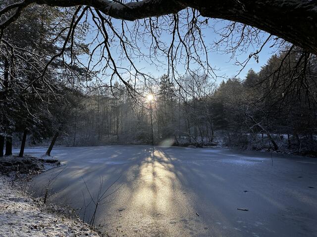 2 Vereister Weiher
Zwischen Lug und Spirkelbach  | Foto: Ronnie Hammer