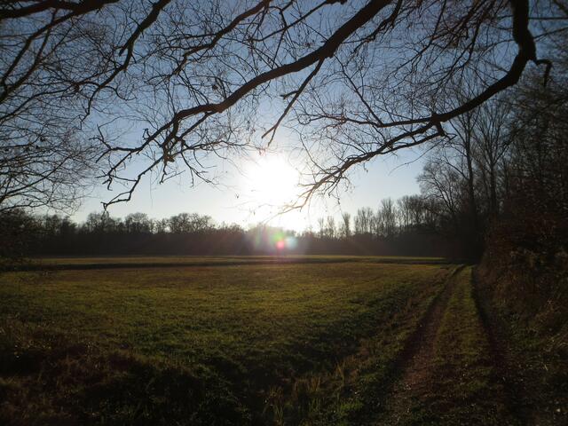 51 Dieses Bild wurde bei Hochstadt aufgenommen. | Foto: Peter Mees