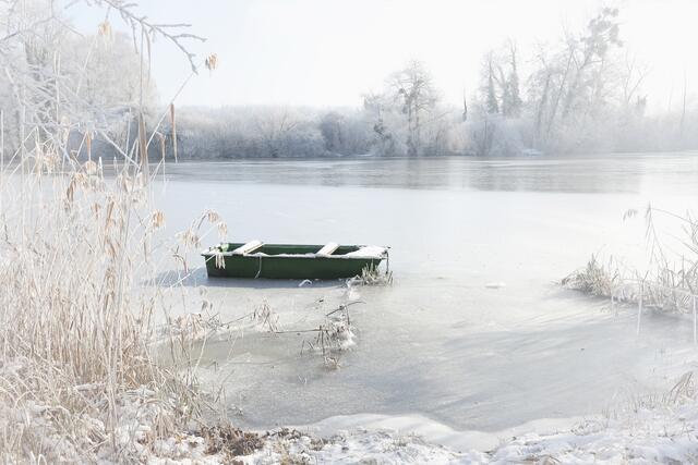 45 Fischmal, Leimersheim | Foto: Beate Wurster