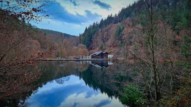 30 Isenach Weiher  | Foto: Katrin Scherr