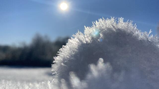 6 Trippstadt on Ice  | Foto: Jessica Hammel