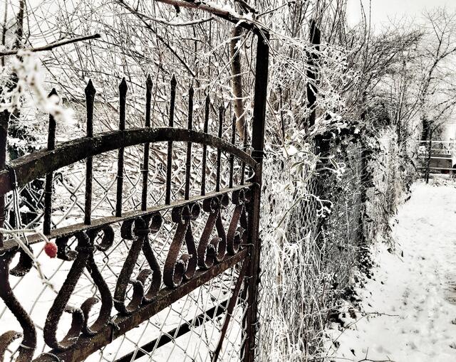 14 Verlassener Garten in Kirchheim  | Foto: Anne Emmerich 