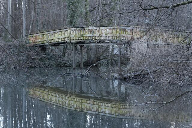 20 Brücke über Rottenbach bei Rülzheim | Foto: Ulrich Bügel