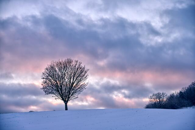 42 Sonnenuntergang bei Ramsen an einem verschneiten Wintertag im Januar 2024 | Foto: Julia Litzenberger