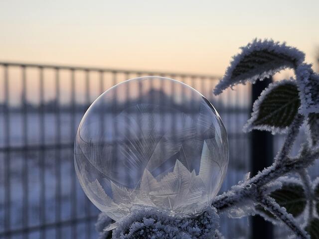 46 Frankenthal / Gefrierende Seifenblase im Morgengrauen | Foto: Anette Drum