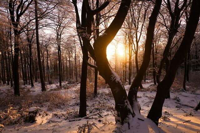 38 Goldene Stunde auf dem Donnersberg  | Foto: Aline Breitenbruch