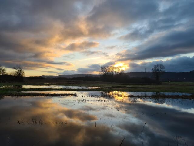 44 Morgenstimmung Landstuhler Bruch | Foto: Petra Reinhardt 