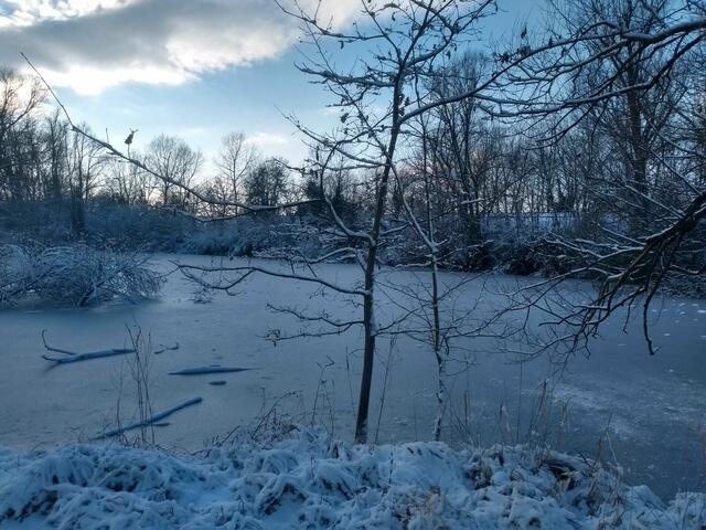 54 Zugefrorener Weiher im Naherholungsgebiet Weisenheim am Sand  | Foto: Anke Bartel