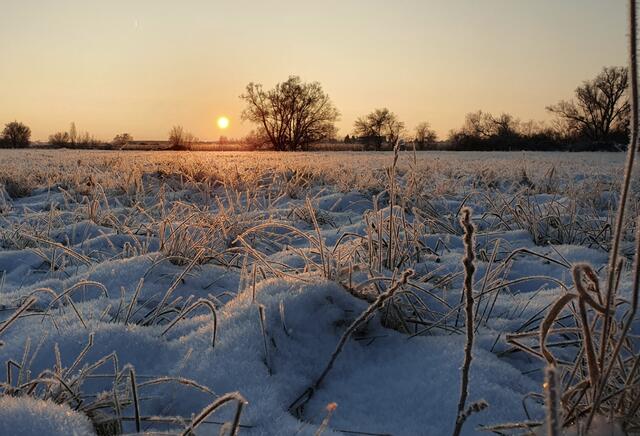 10 Sonnenaufgang im Bruch bei Ungstein | Foto: Claudia Dormeyer