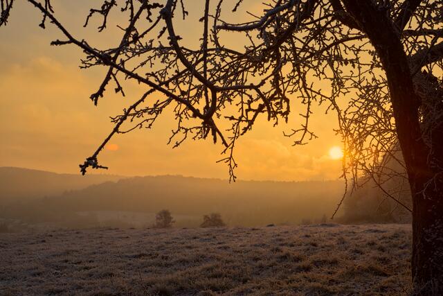 40 kalter Wintermorgen in Ramsen (minus 12 Grad) am 18.12.2022, fotografiert mit einem analogen Objektiv  | Foto: Julia Litzenberger