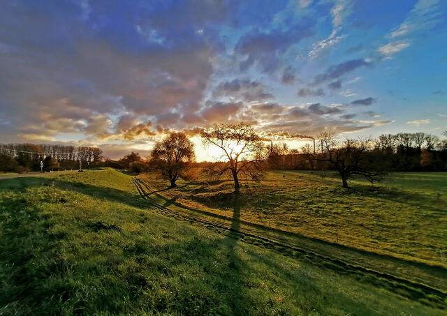 19 Sonnenaufgang am Rheindamm bei Maximiliansau | Foto: Corinna Grasmehr