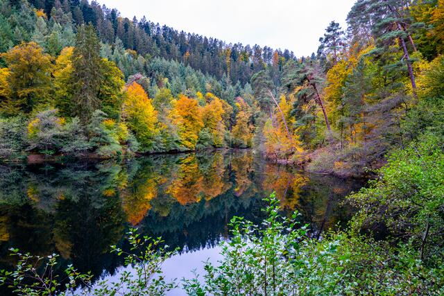 16 Isenachweiher bei Bad Dürkheim | Foto: Ralf Först