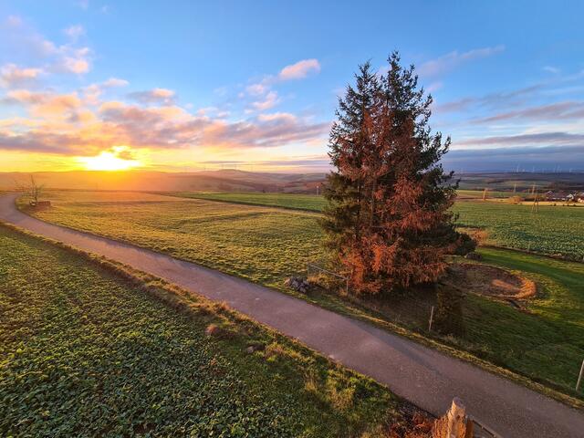 41 Bild wurde in Stahlberg aufgenommen. | Foto: Mirco Faller