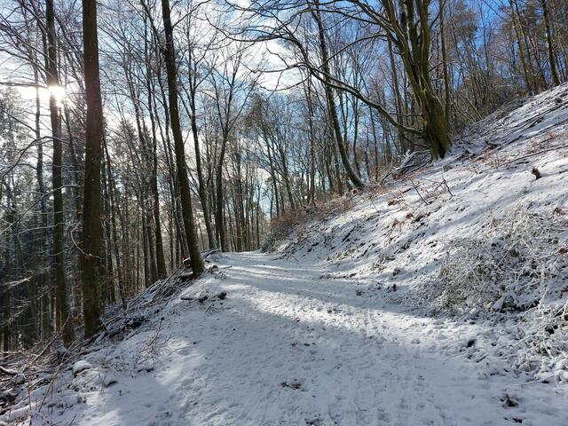 1 Winterwald bei Schmalenberg | Foto: Marco Bettini