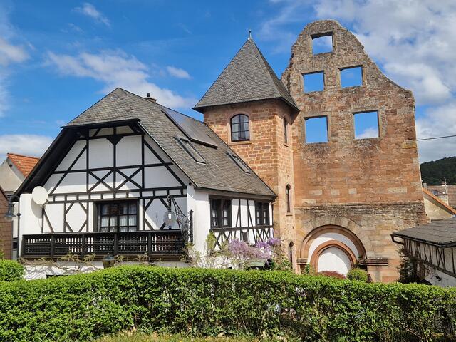 46 Ruine des Augustinerklosters in Höningen an einem schönen Apriltag. | Foto: Nico Müller