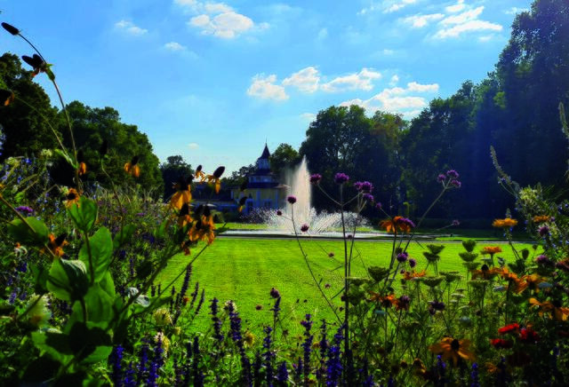 22 Sommerstimmung im Ludwigshafener Ebertpark | Foto: Ron Scherer