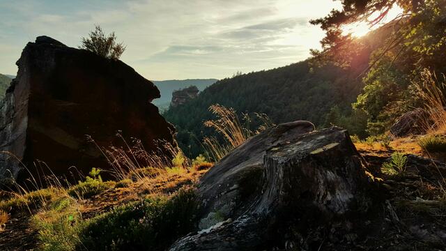 2 Am Luger „Fahnenfelsen“

Lug | Foto: Ronnie Hammer