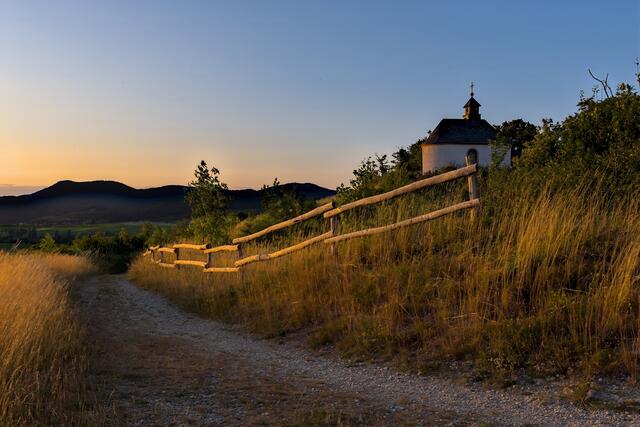 17 Kleine Kalmit Ilbesheim im sommerlichen Abendlicht | Foto: Thomas Winkelblech