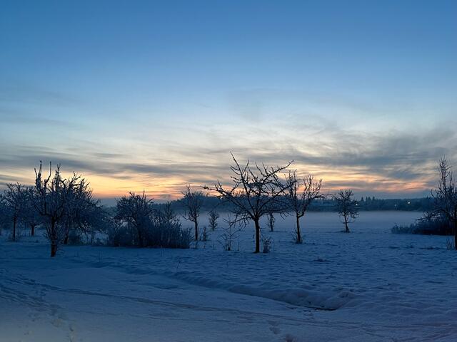 28 Feld Rehofstrasse Schifferstadt im Winter | Foto: Alexandra Rupp