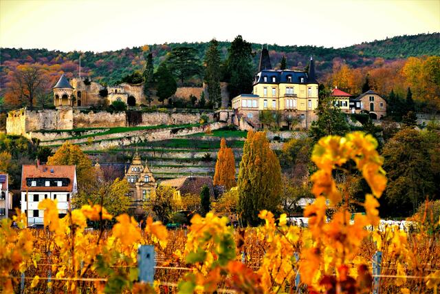 7 Das Haardter Schlössel im Spätherbst (Neustadt an der Weinstraße) | Foto: Jens Draudt