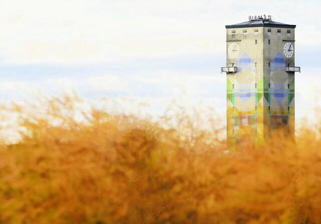 21 Der Wasserturm von Mutterstadt vor einem herbstlich gefärbten Spargelfeld  | Foto: Maike Müller