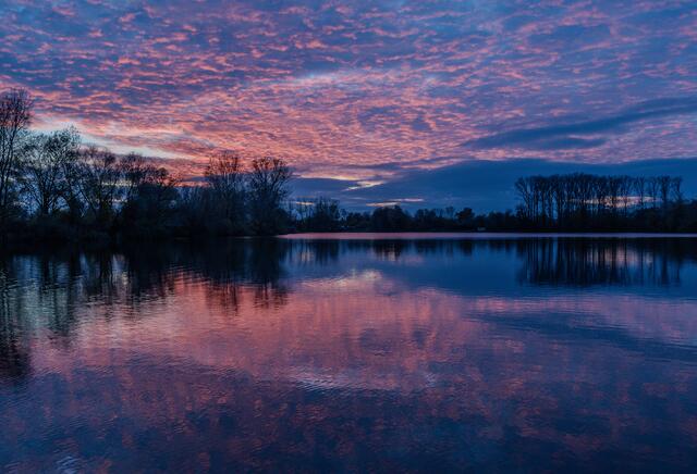 17 Setzfeldsee in Neupotz | Foto: Wilfried Glauber
