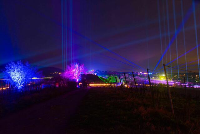 26 Weinbergleuchten in Bad Dürkheim | Foto: Werner Traudt