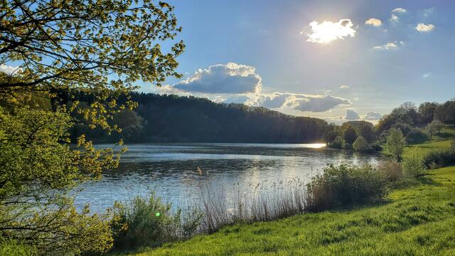 21 Ohmbachsee Gries 

18. April 2024, 18.40 Uhr | Foto: Kerstin Bodenstedt