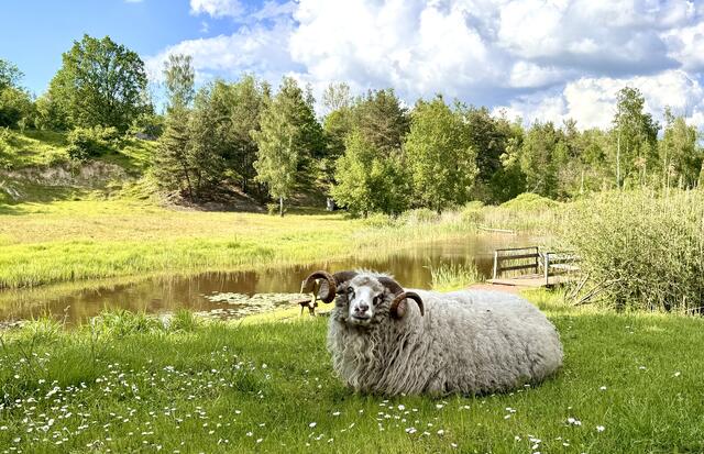 29 Erdekaut im April  | Foto: Kathrin Martorana-Hack