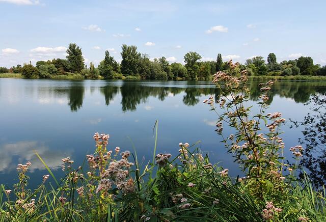 49 Mittagsruhe am Großparthweiher Ludwigshafen | Foto: Claudia Dormeyer