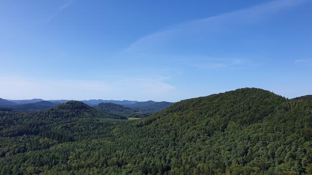 12 Rötzenfelsen, Gossersweiler-Stein | Foto: Anja Meissner