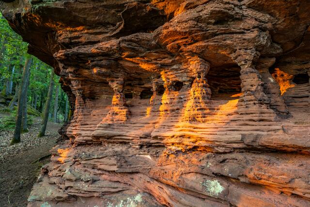 31 Buntsandstein im Abendlicht, Pfälzerwald | Foto: Marvin Jülch