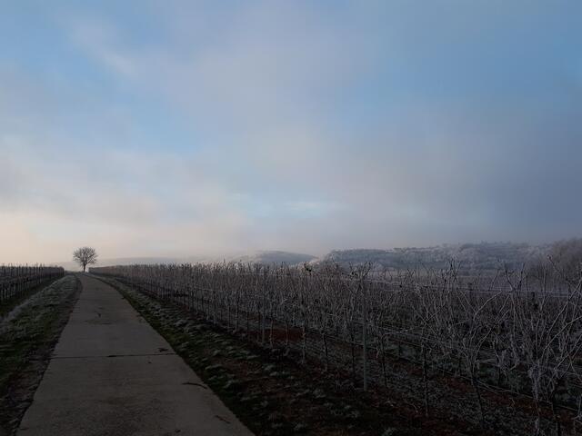 34 Blick auf die Unterhaardt über die Kleinkarlbacher Weinberge | Foto: Axel Bölger