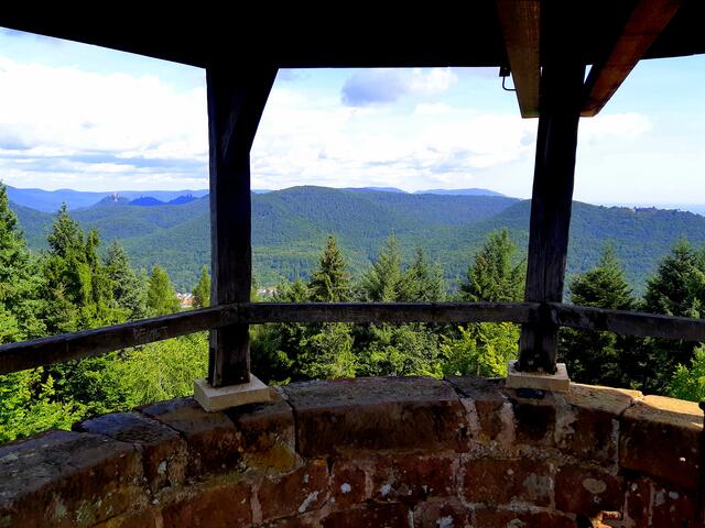 10 Ausblick in den Pfälzerwald | Foto: Gerhard Syring-Lingenfelder