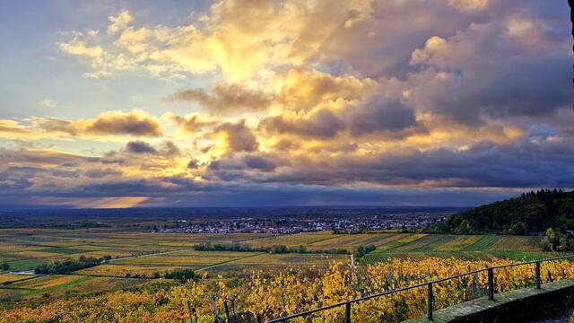 35 Blick von Flaggenturm in Bad Dürkheim | Foto: Katrin Scherr