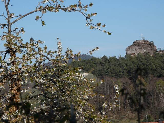 1 Blick auf den Engelmannfelsen Bei Gossersweiler-Stein | Foto: Marco Bettini