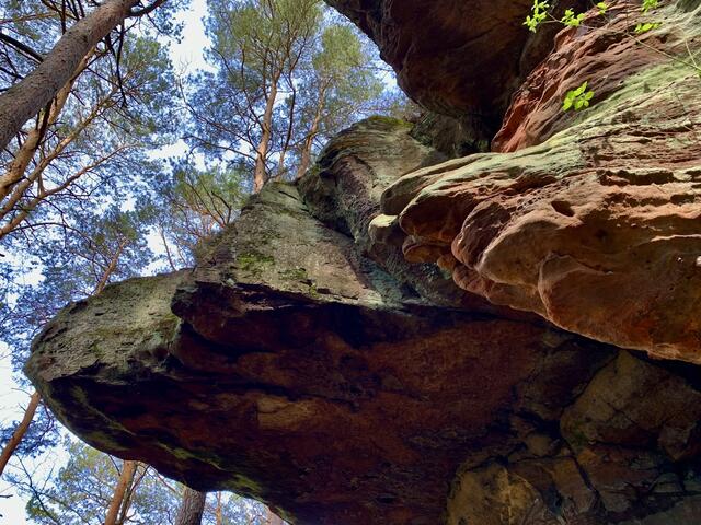 19 Rodalber’Felsenwanderung
Runde um Rodalben … ein Erlebnis ohne Gleichen!!
Man kommt aus dem Staunen nicht heraus …
 | Foto: Nelly Brockmann 