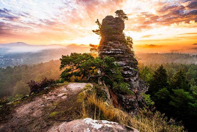 31 Morgenröte über Dahner Felsenland, Pfälzerwald | Foto: Marvin Jülch