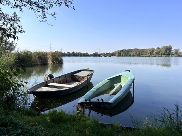 43 Lambsheimer Weiher 
Spaziergang am Nachmittag  | Foto: Diana Mayer